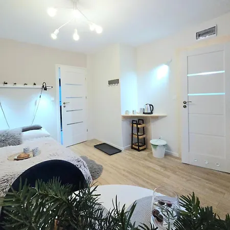 Ida Apartament Zakopane